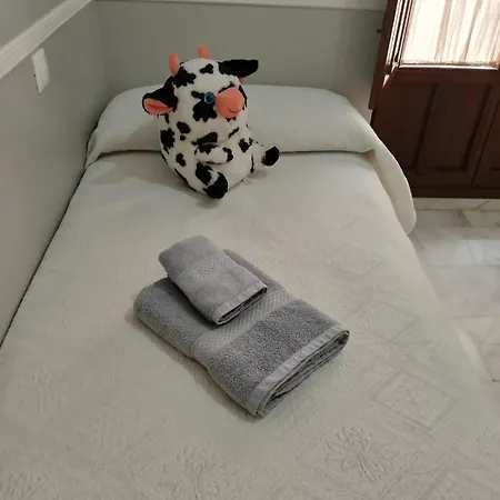 Casa Libelula Blanca *